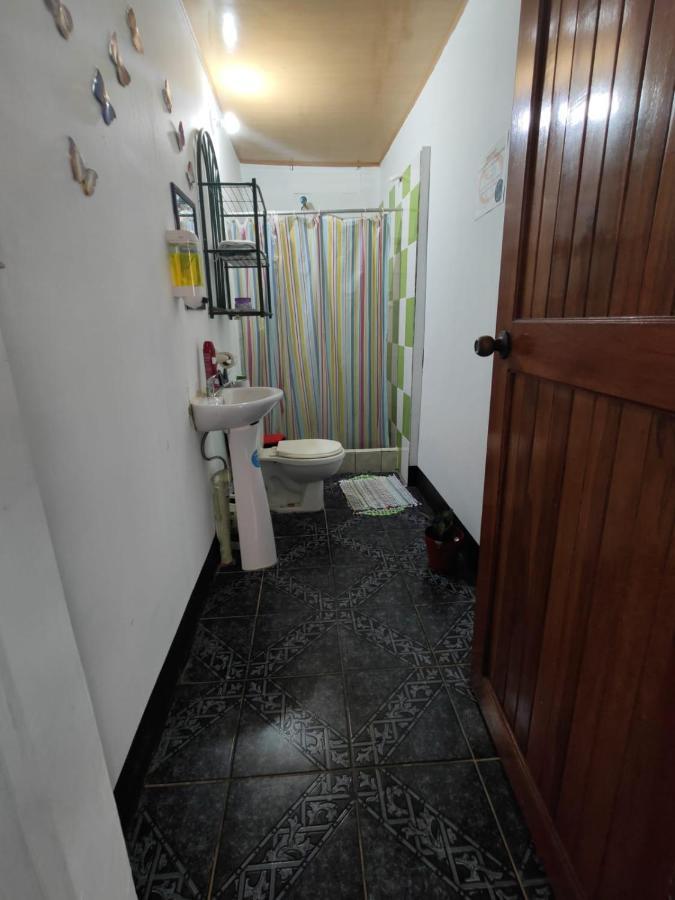 Tortuguero Casa De Playa Green House公寓 外观 照片