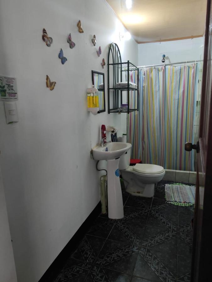Tortuguero Casa De Playa Green House公寓 外观 照片