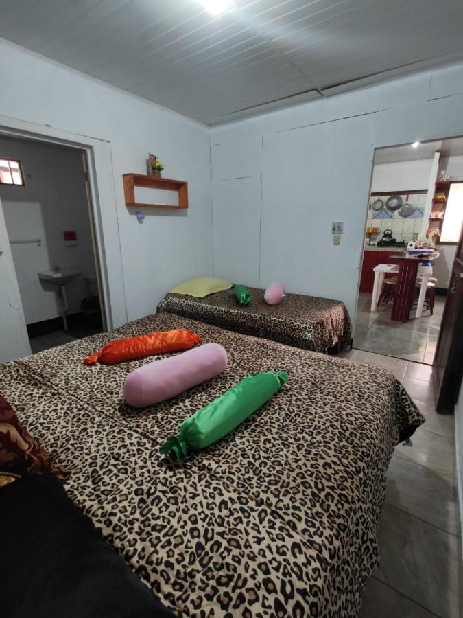 Tortuguero Casa De Playa Green House公寓 外观 照片