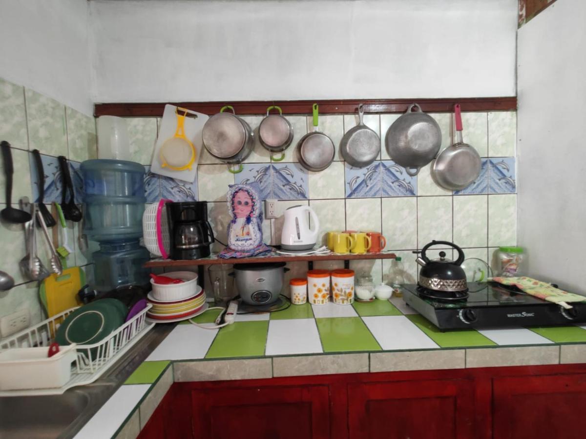 Tortuguero Casa De Playa Green House公寓 外观 照片