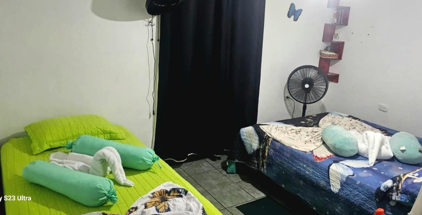 Tortuguero Casa De Playa Green House公寓 外观 照片