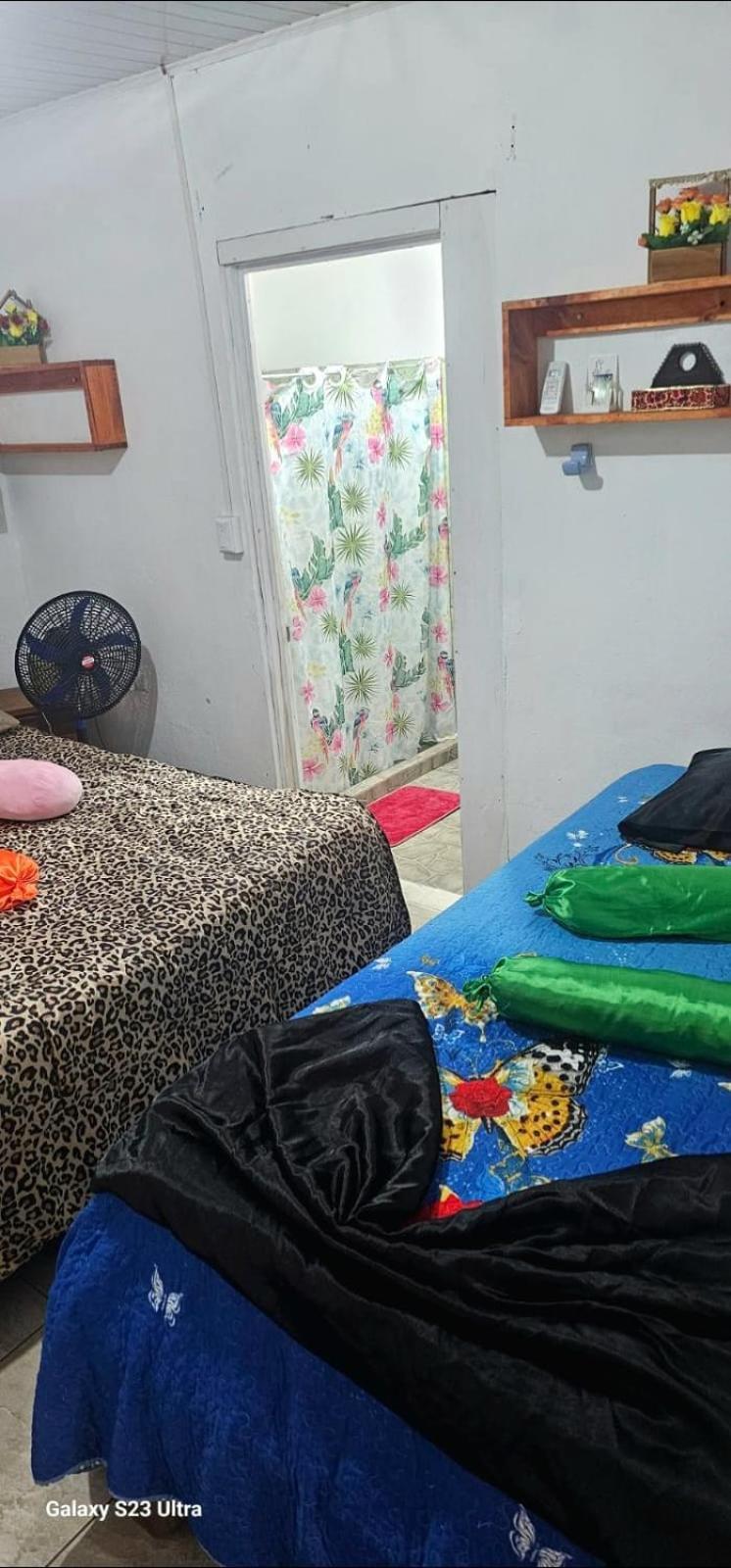 Tortuguero Casa De Playa Green House公寓 外观 照片