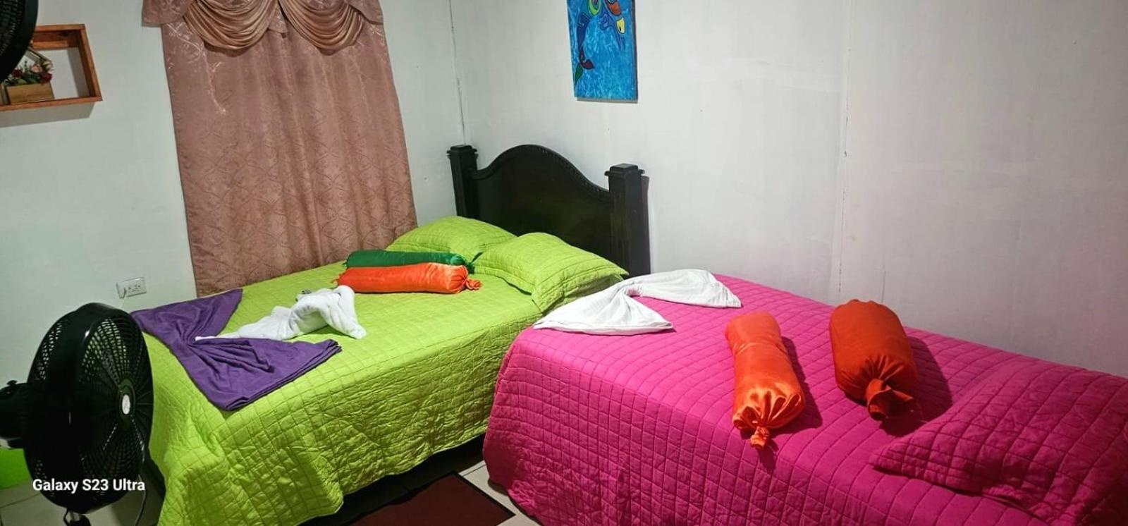 Tortuguero Casa De Playa Green House公寓 外观 照片