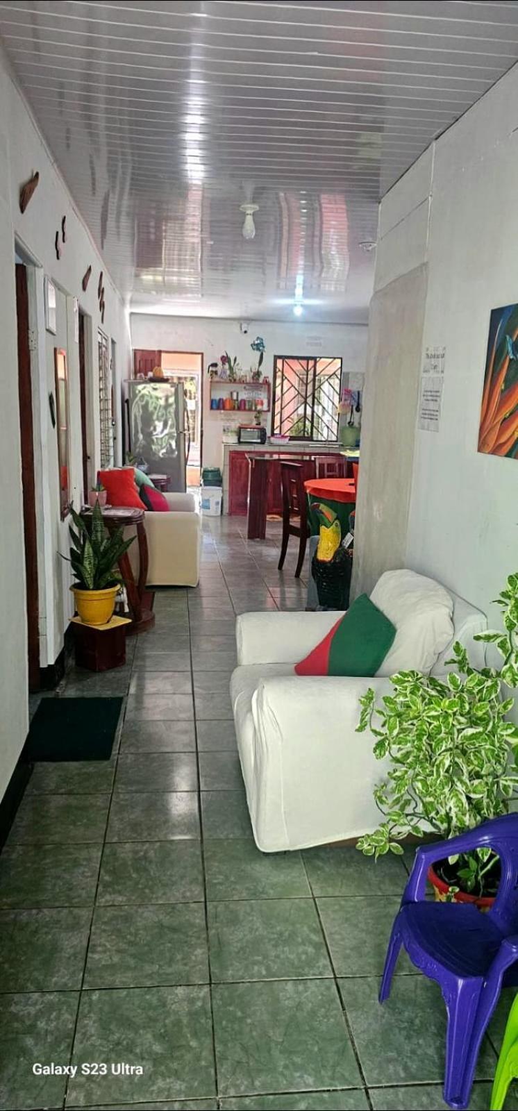 Tortuguero Casa De Playa Green House公寓 外观 照片