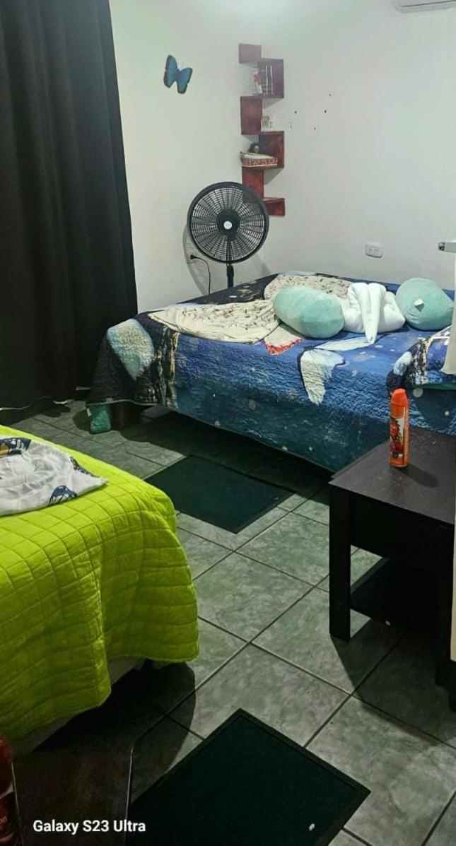 Tortuguero Casa De Playa Green House公寓 外观 照片