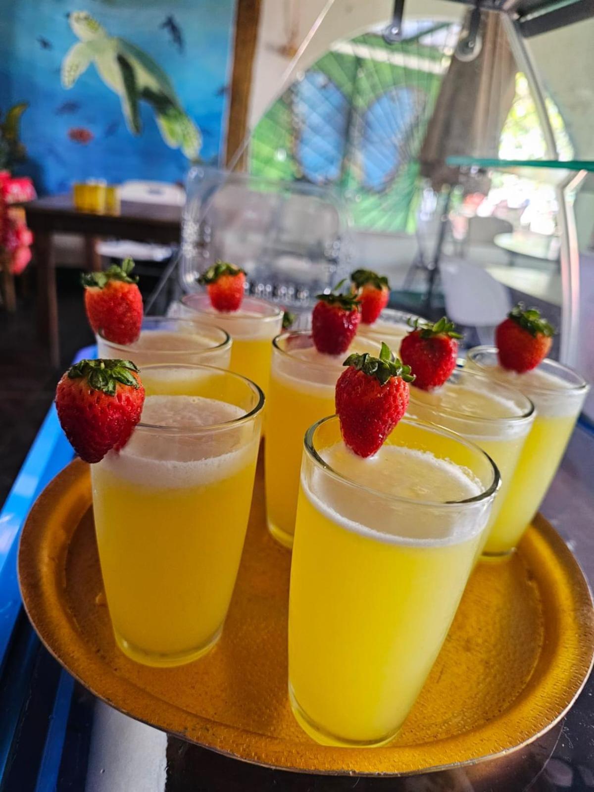 Tortuguero Casa De Playa Green House公寓 外观 照片
