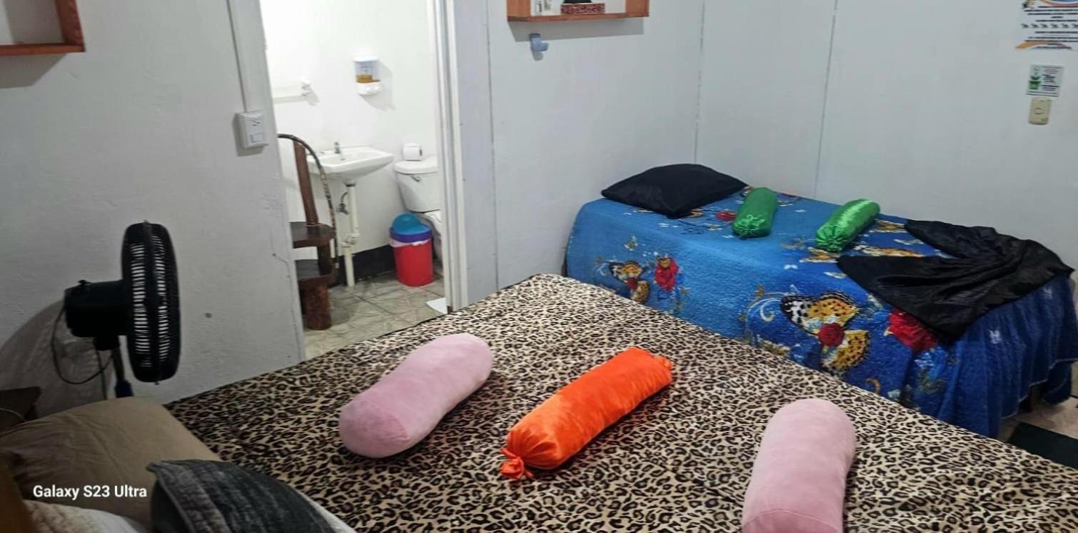 Tortuguero Casa De Playa Green House公寓 外观 照片